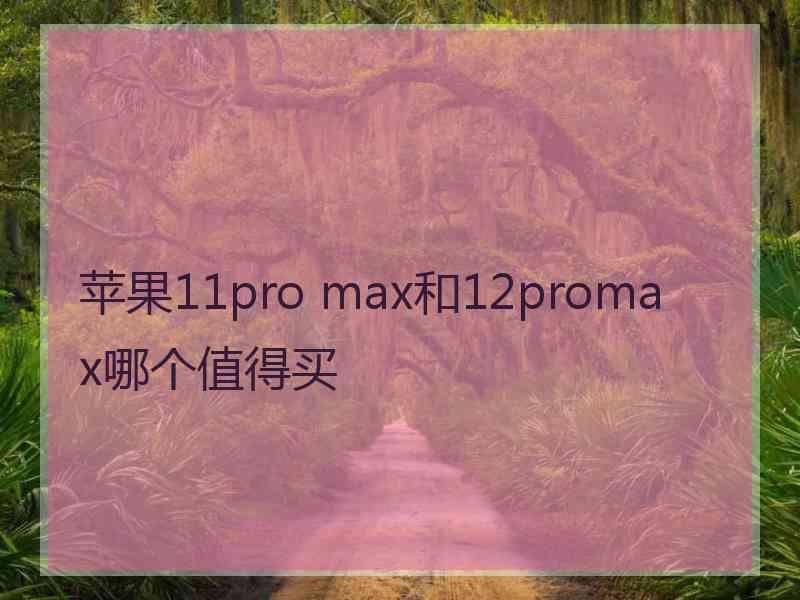 苹果11pro max和12promax哪个值得买