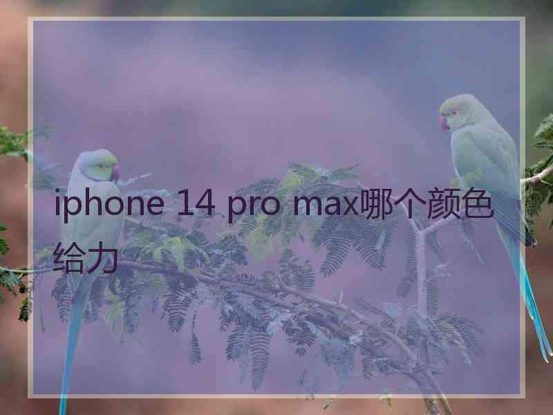 iphone 14 pro max哪个颜色给力