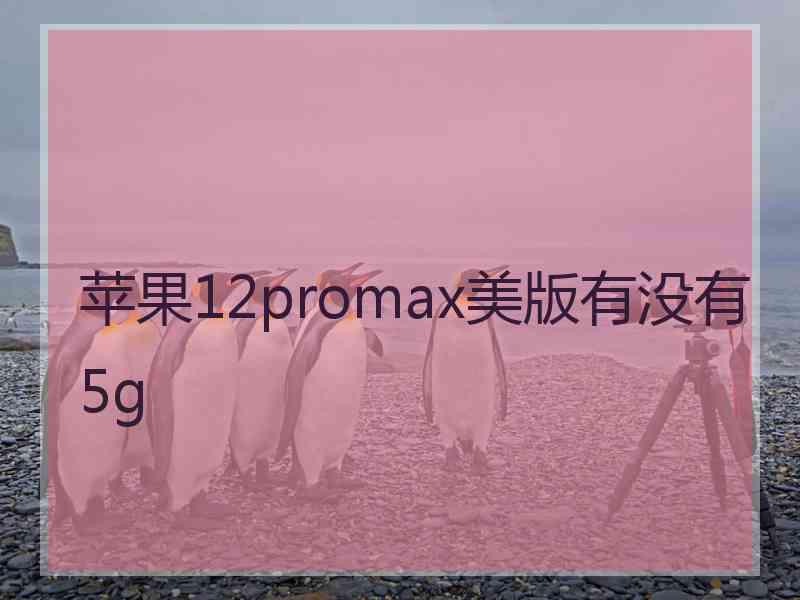 苹果12promax美版有没有5g