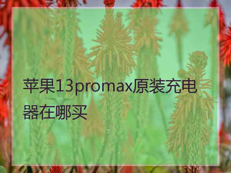 苹果13promax原装充电器在哪买