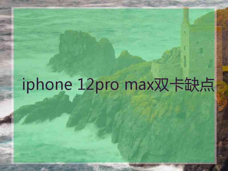 iphone 12pro max双卡缺点