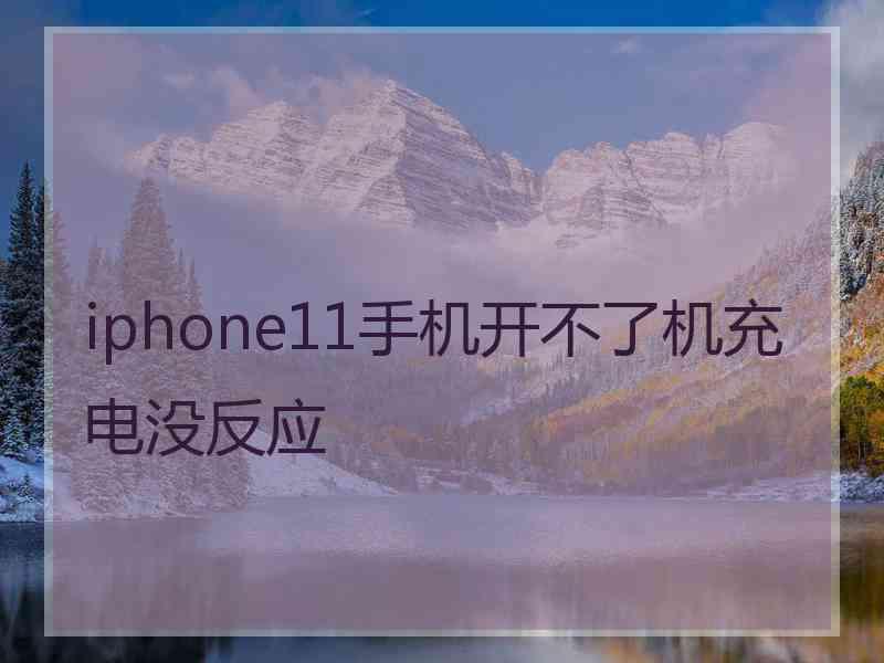 iphone11手机开不了机充电没反应