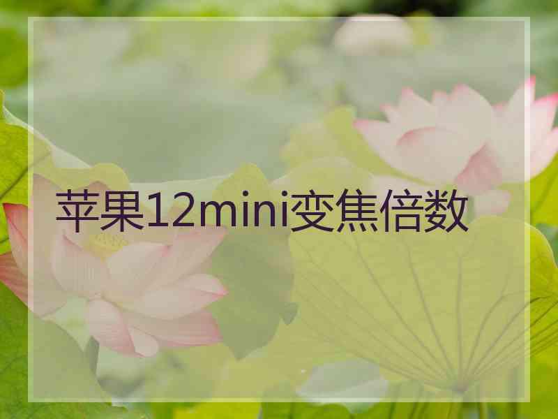 苹果12mini变焦倍数