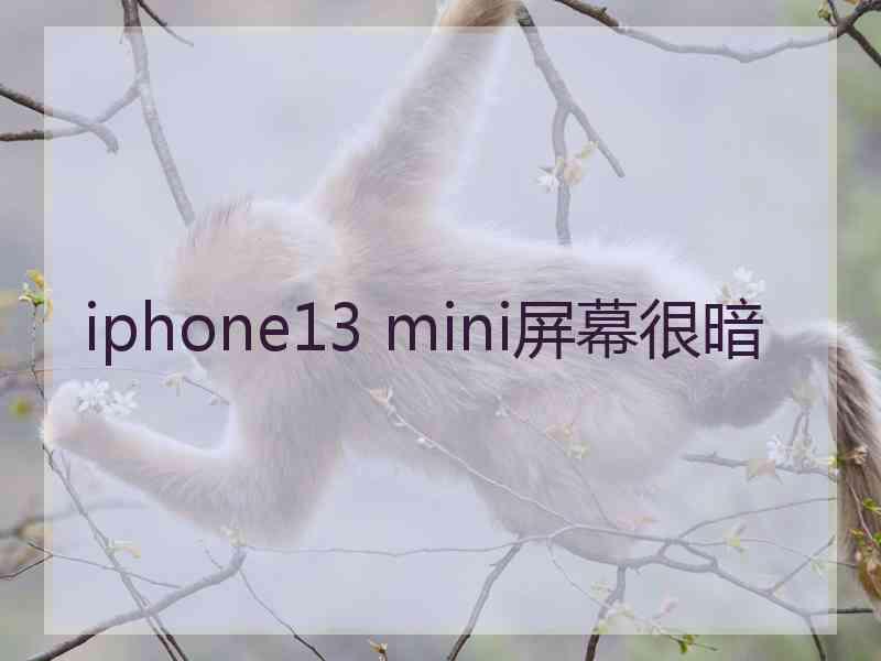 iphone13 mini屏幕很暗