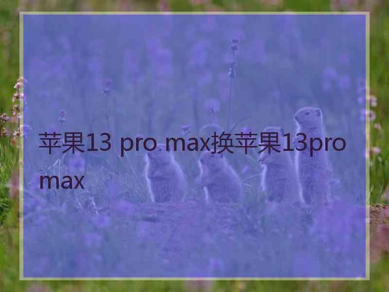 苹果13 pro max换苹果13pro max