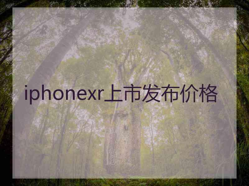 iphonexr上市发布价格