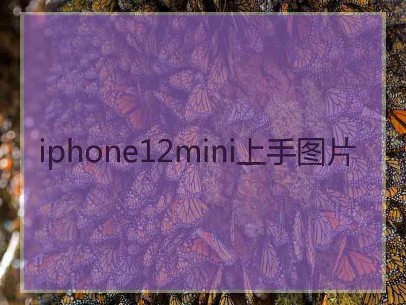 iphone12mini上手图片