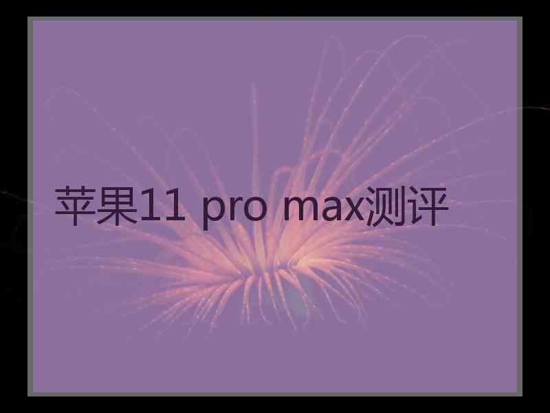 苹果11 pro max测评