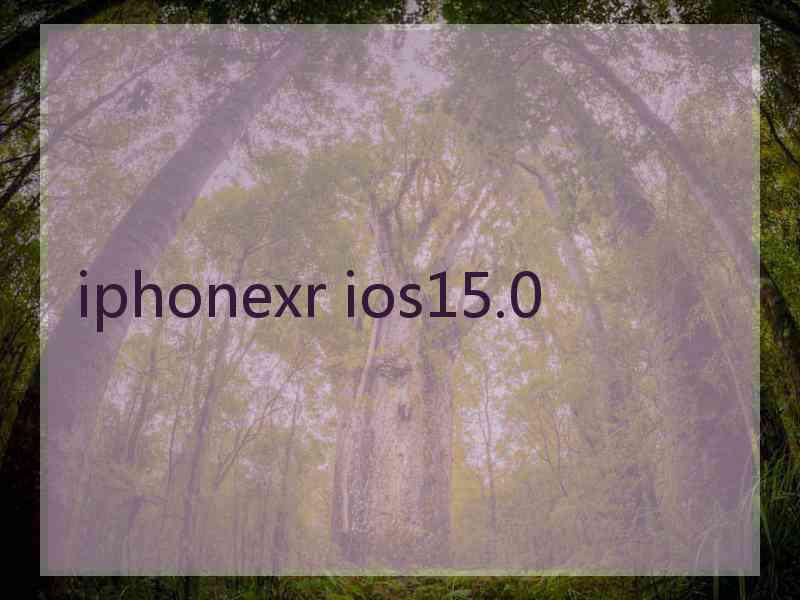 iphonexr ios15.0