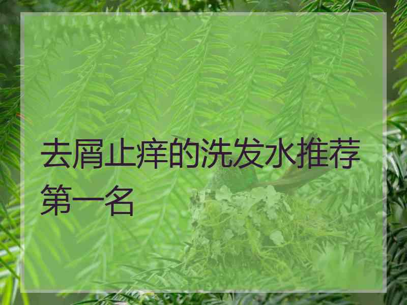 去屑止痒的洗发水推荐第一名