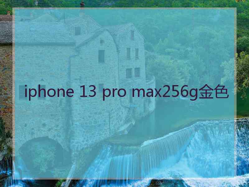 iphone 13 pro max256g金色