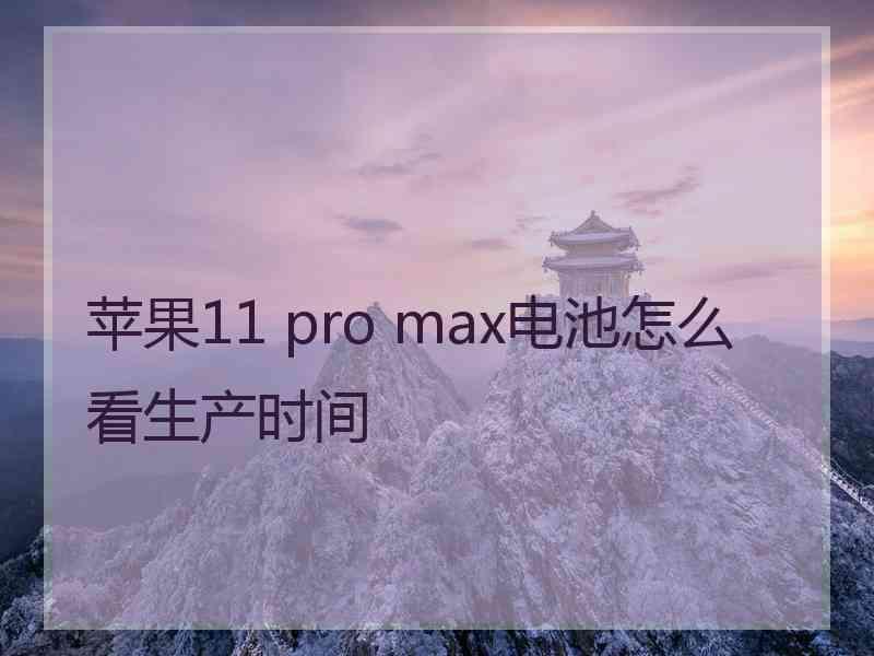 苹果11 pro max电池怎么看生产时间