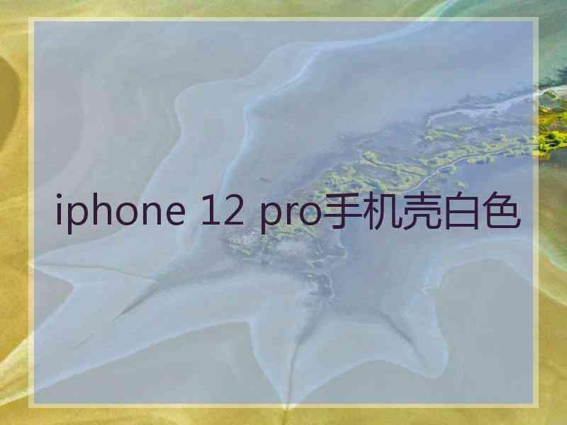 iphone 12 pro手机壳白色