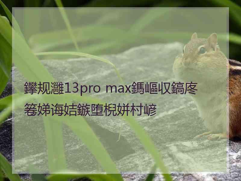 鑻规灉13pro max鎷嶇収鎬庝箞娣诲姞鏃堕棿姘村嵃