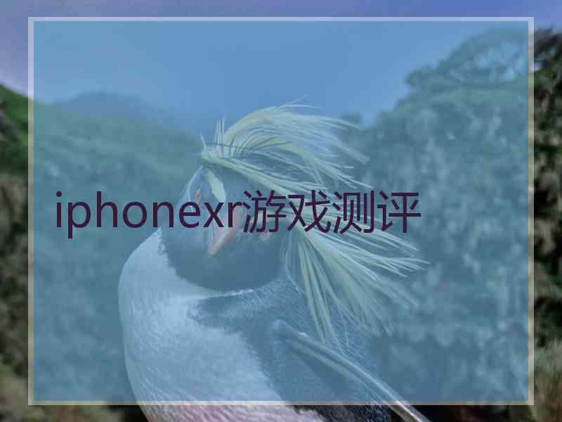 iphonexr游戏测评