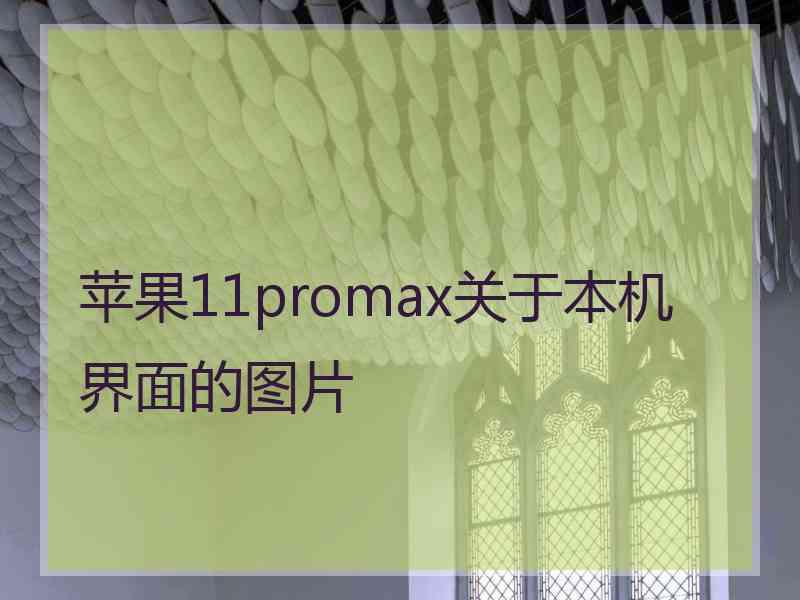 苹果11promax关于本机界面的图片