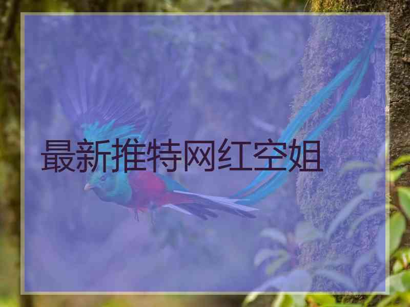 最新推特网红空姐