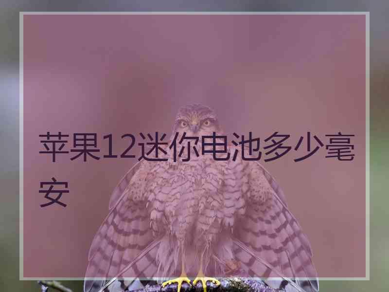 苹果12迷你电池多少毫安