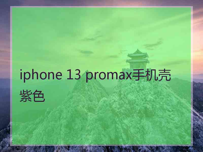 iphone 13 promax手机壳 紫色