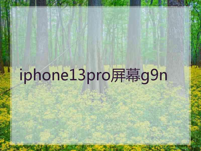 iphone13pro屏幕g9n