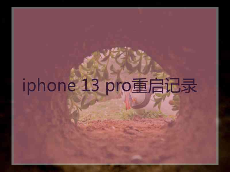 iphone 13 pro重启记录