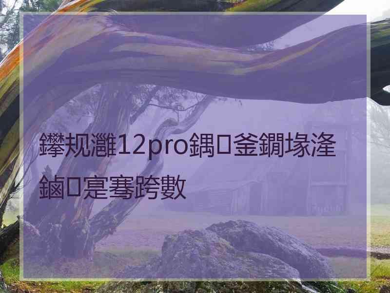 鑻规灉12pro鍝釜鐗堟湰鏀寔骞跨數