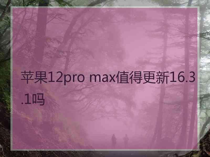 苹果12pro max值得更新16.3.1吗