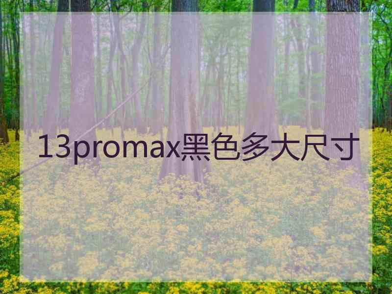 13promax黑色多大尺寸