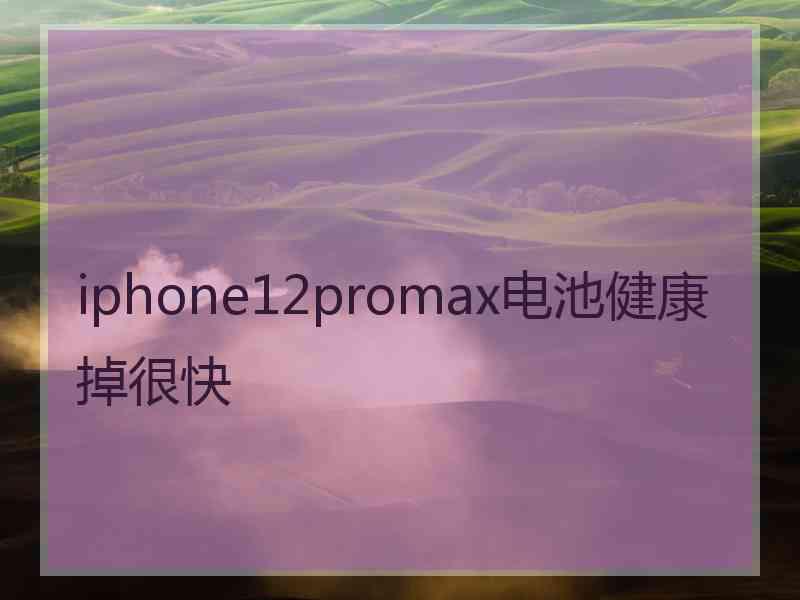 iphone12promax电池健康掉很快