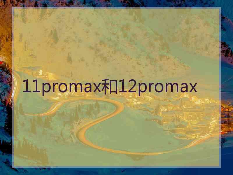 11promax和12promax