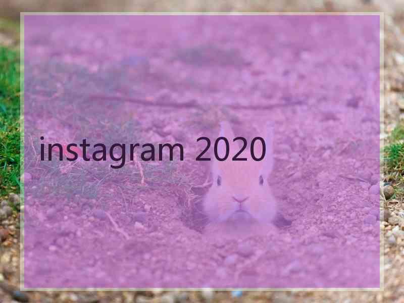 instagram 2020