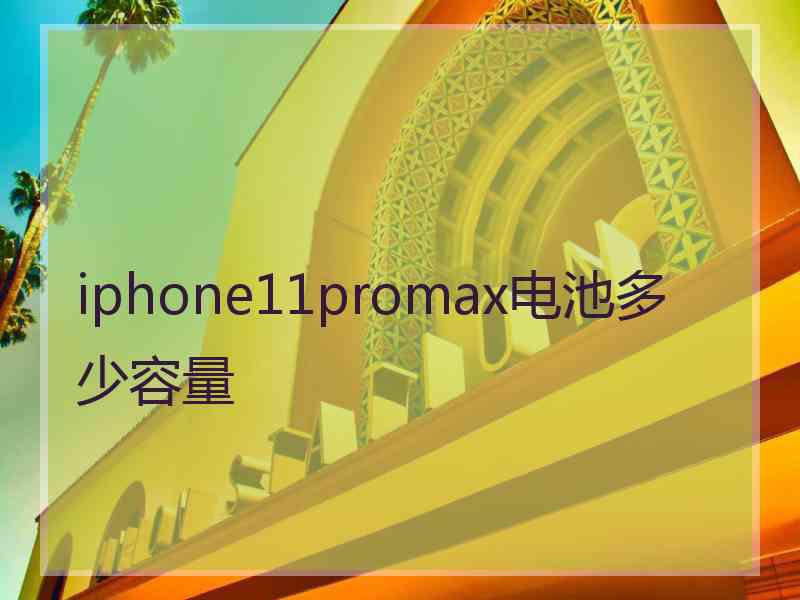 iphone11promax电池多少容量