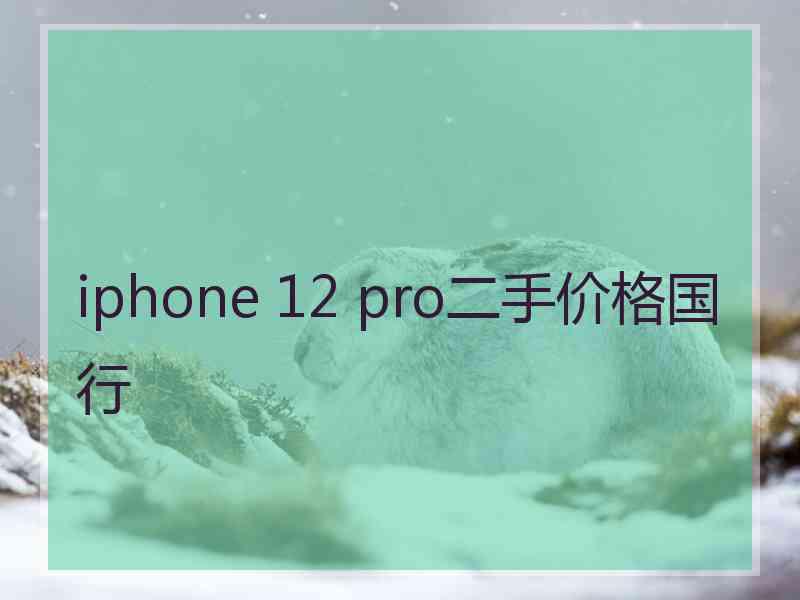 iphone 12 pro二手价格国行