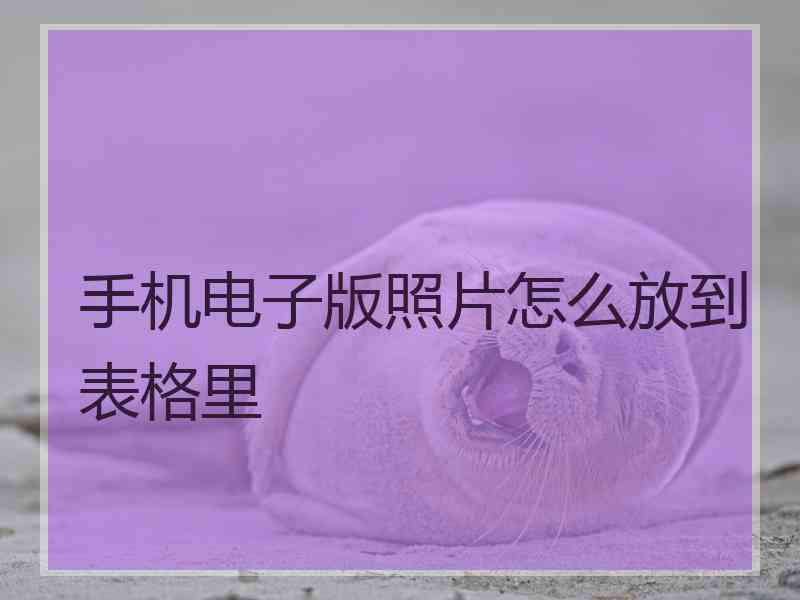 手机电子版照片怎么放到表格里