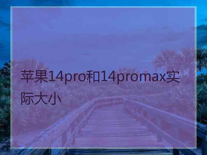 苹果14pro和14promax实际大小