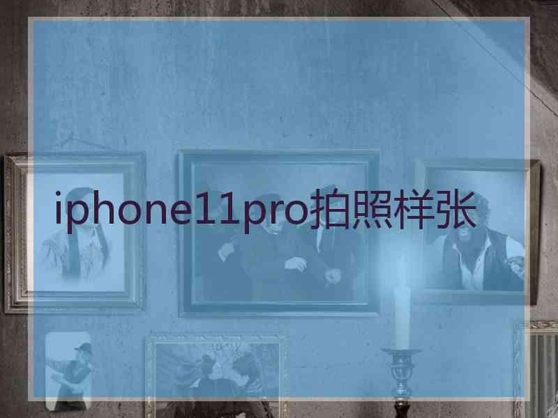 iphone11pro拍照样张