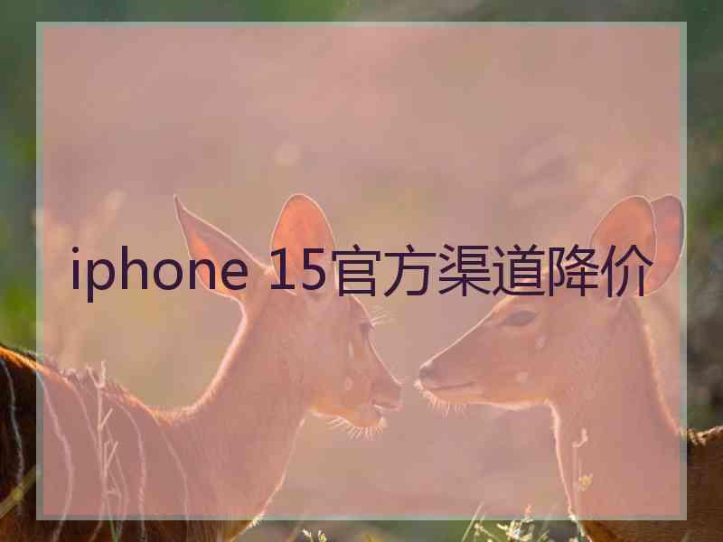 iphone 15官方渠道降价