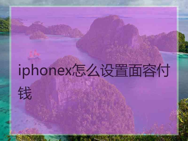 iphonex怎么设置面容付钱