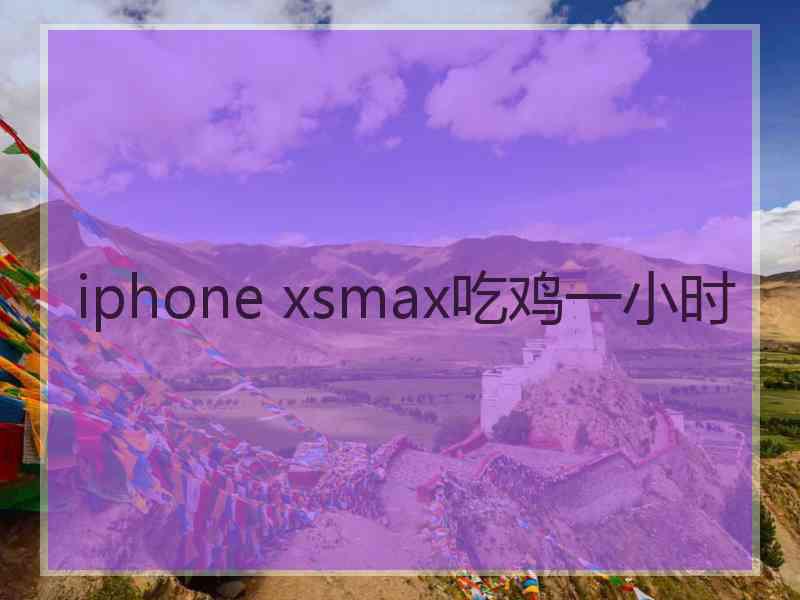 iphone xsmax吃鸡一小时