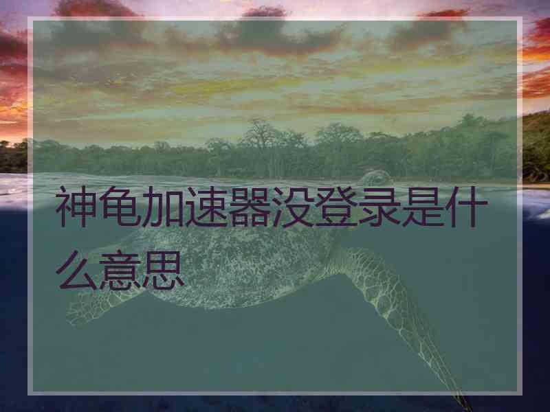 神龟加速器没登录是什么意思