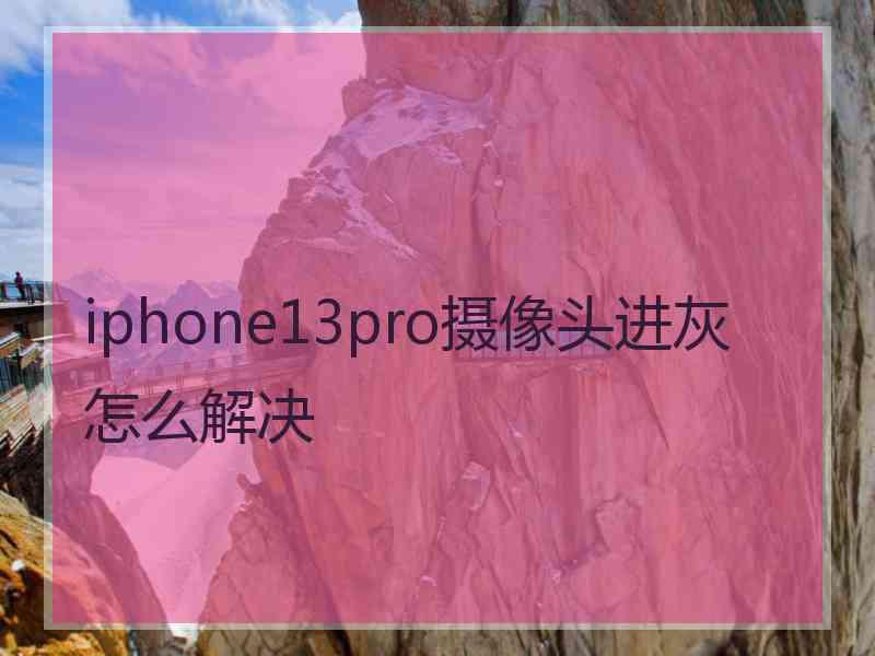 iphone13pro摄像头进灰怎么解决