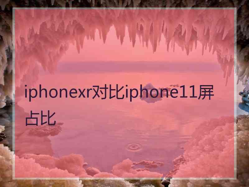 iphonexr对比iphone11屏占比