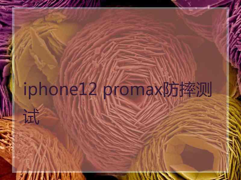 iphone12 promax防摔测试