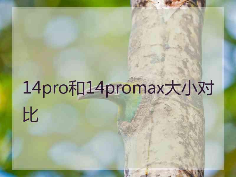 14pro和14promax大小对比