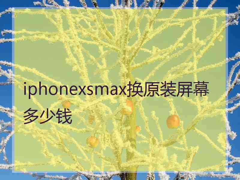 iphonexsmax换原装屏幕多少钱