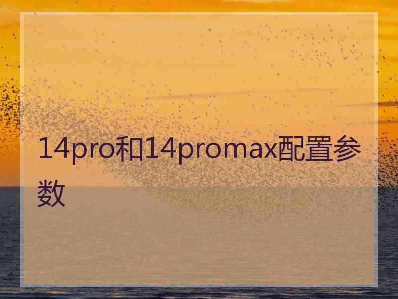 14pro和14promax配置参数