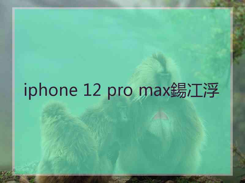 iphone 12 pro max鍚冮浮