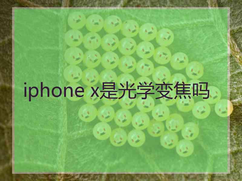 iphone x是光学变焦吗