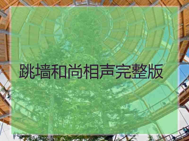 跳墙和尚相声完整版