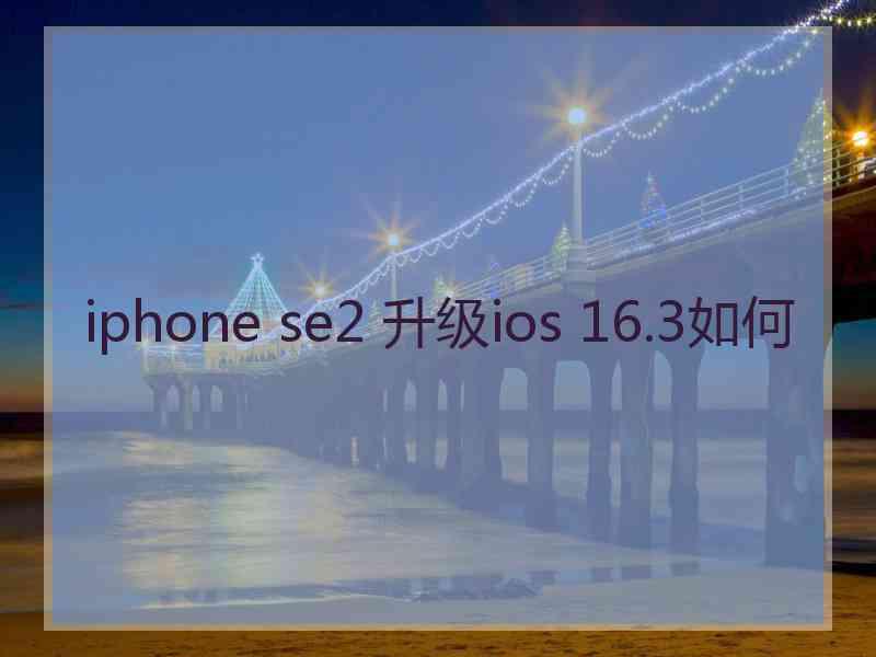 iphone se2 升级ios 16.3如何